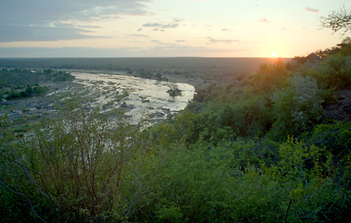 Safari delta